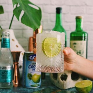 a hand holding a margarita with green bottles in the background, turtle skull, and hand holding a clear glass filled with cocktail recipe