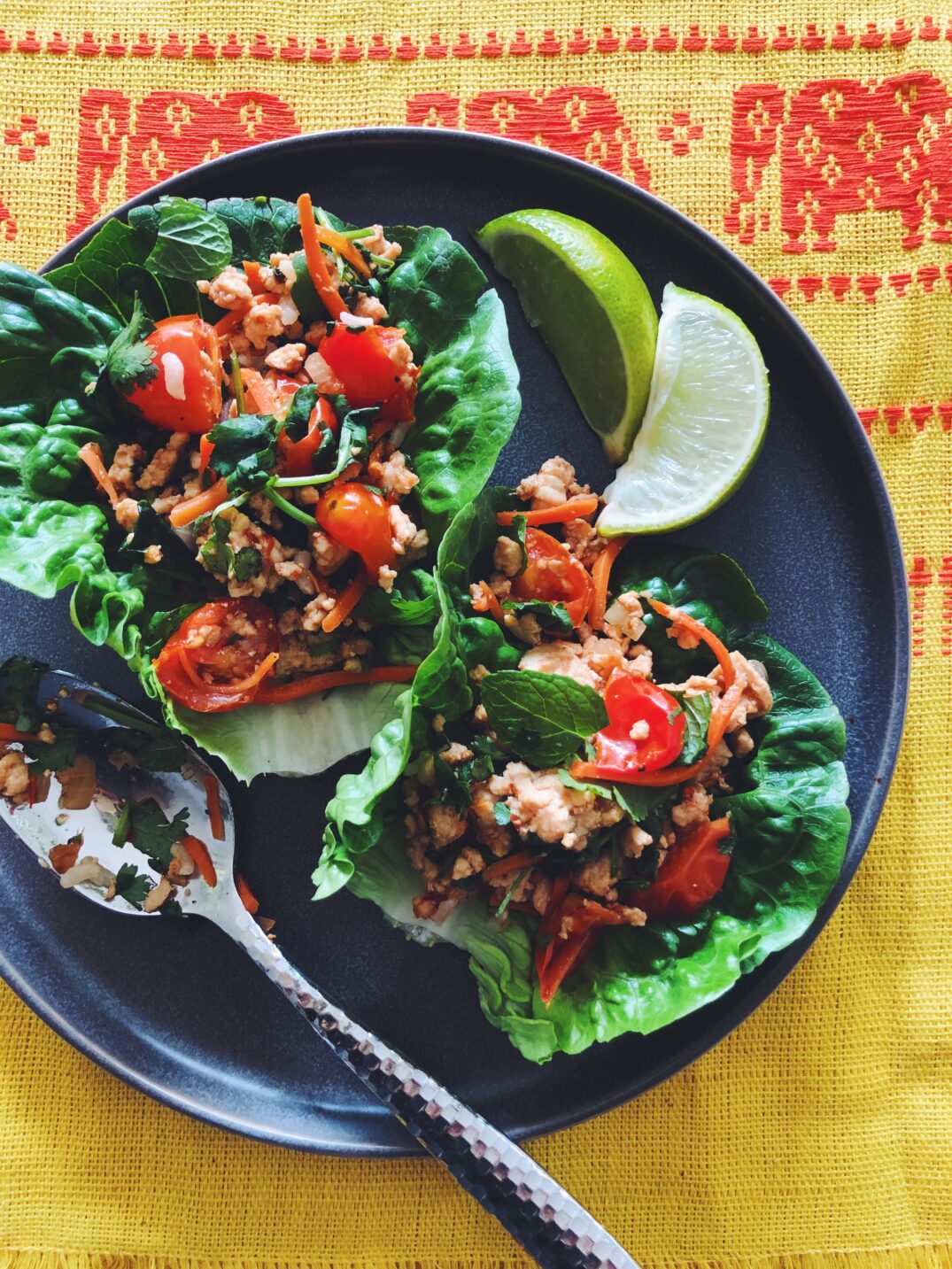 Larb Gai - Spicy, Sour and Slightly Sweet Thai Minced Chicken Salad with Chile + Fresh Herbs