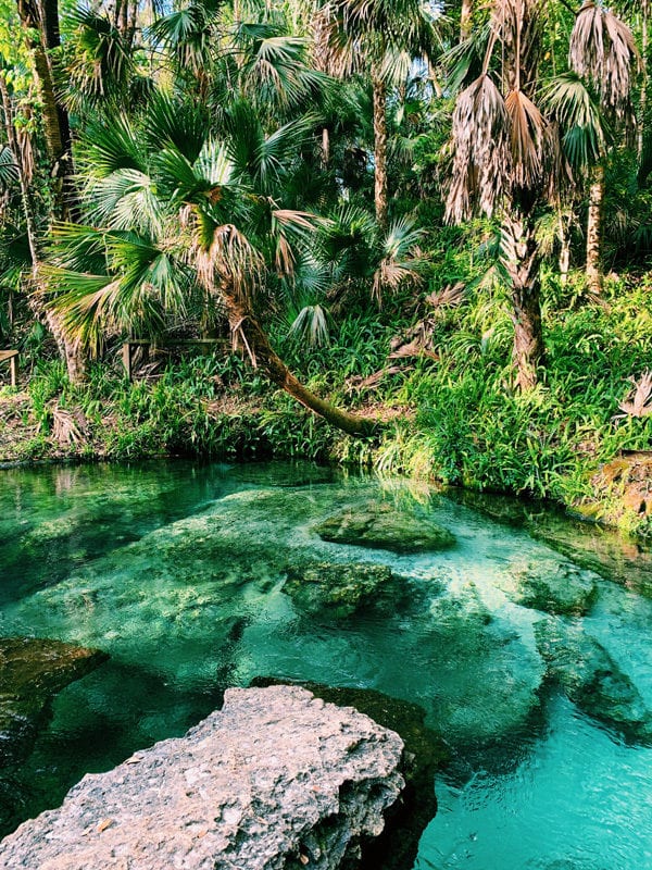 Rock Springs Kelly Park, Florida - Grilled Cheese Social