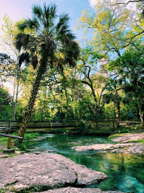 picture of the crystal clear springs at rock springs