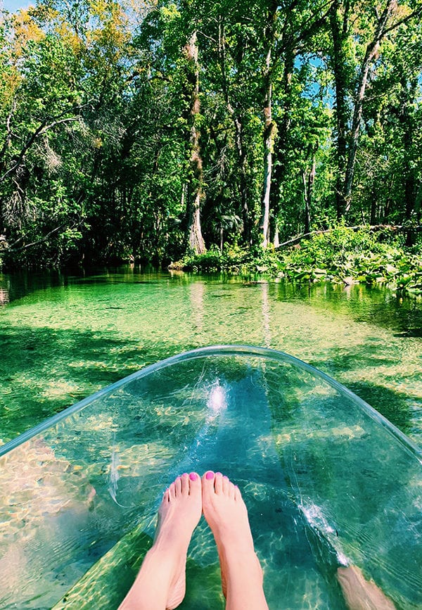 clear kayak at rock springs kelly park kings landing florida