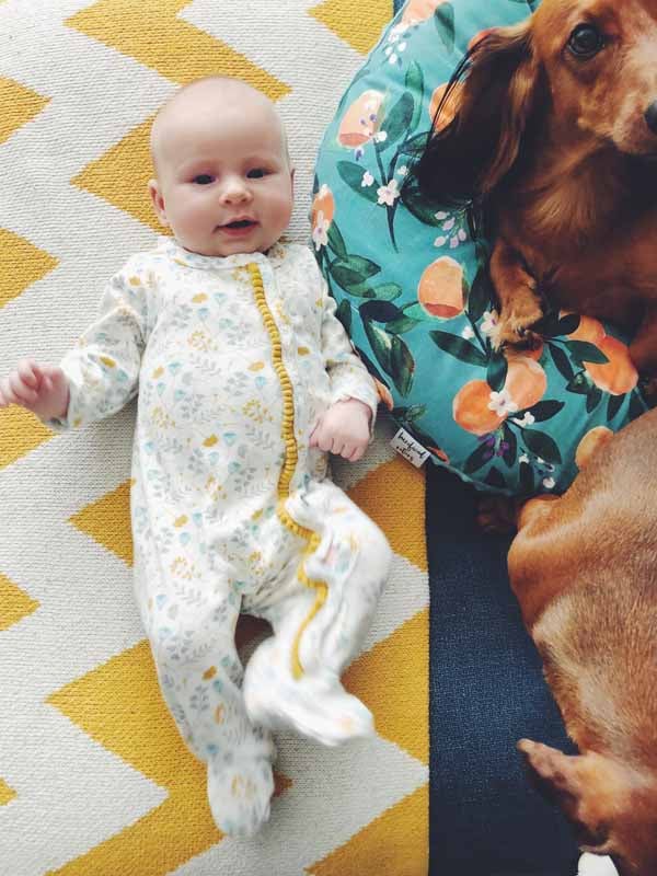 baby with dachshunds