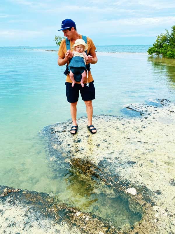 the horseshoe quarry in the florida keys 