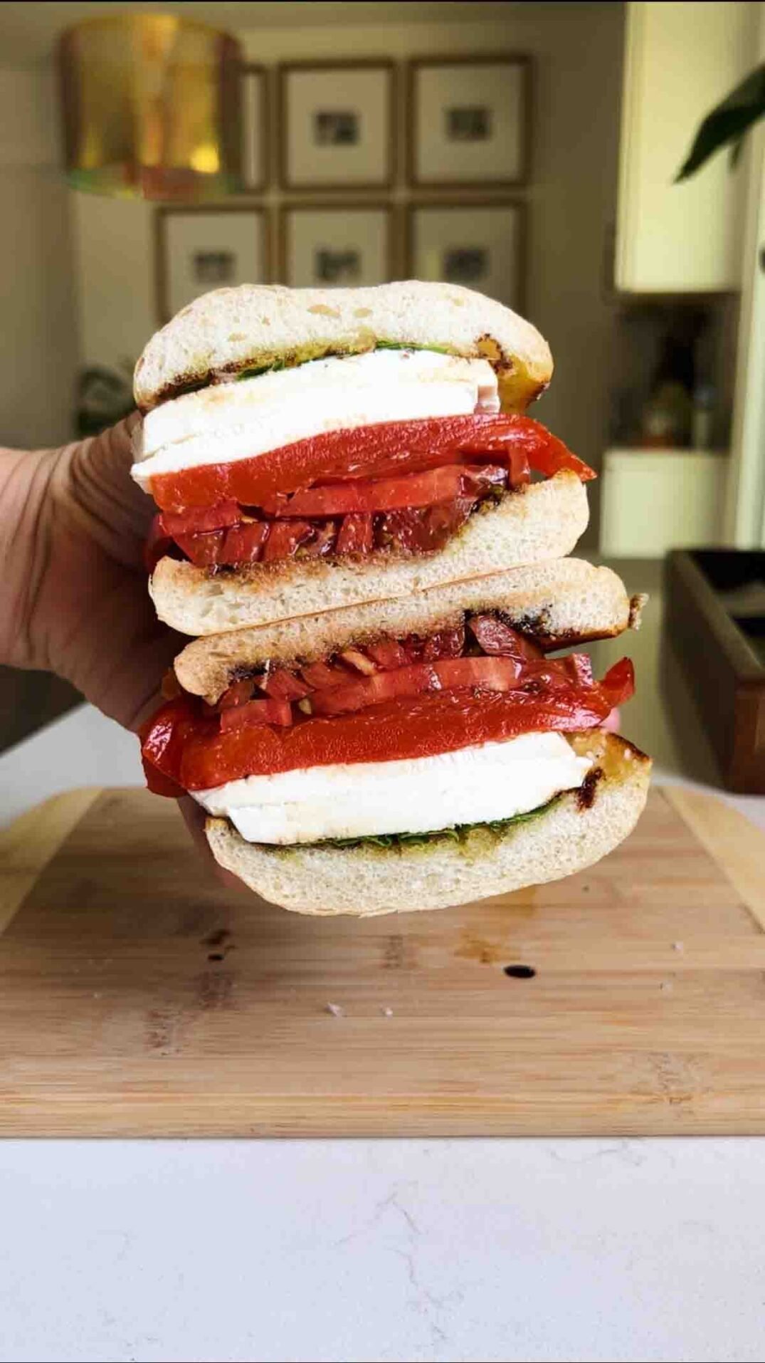 a hand holding a caprese sandwich.
