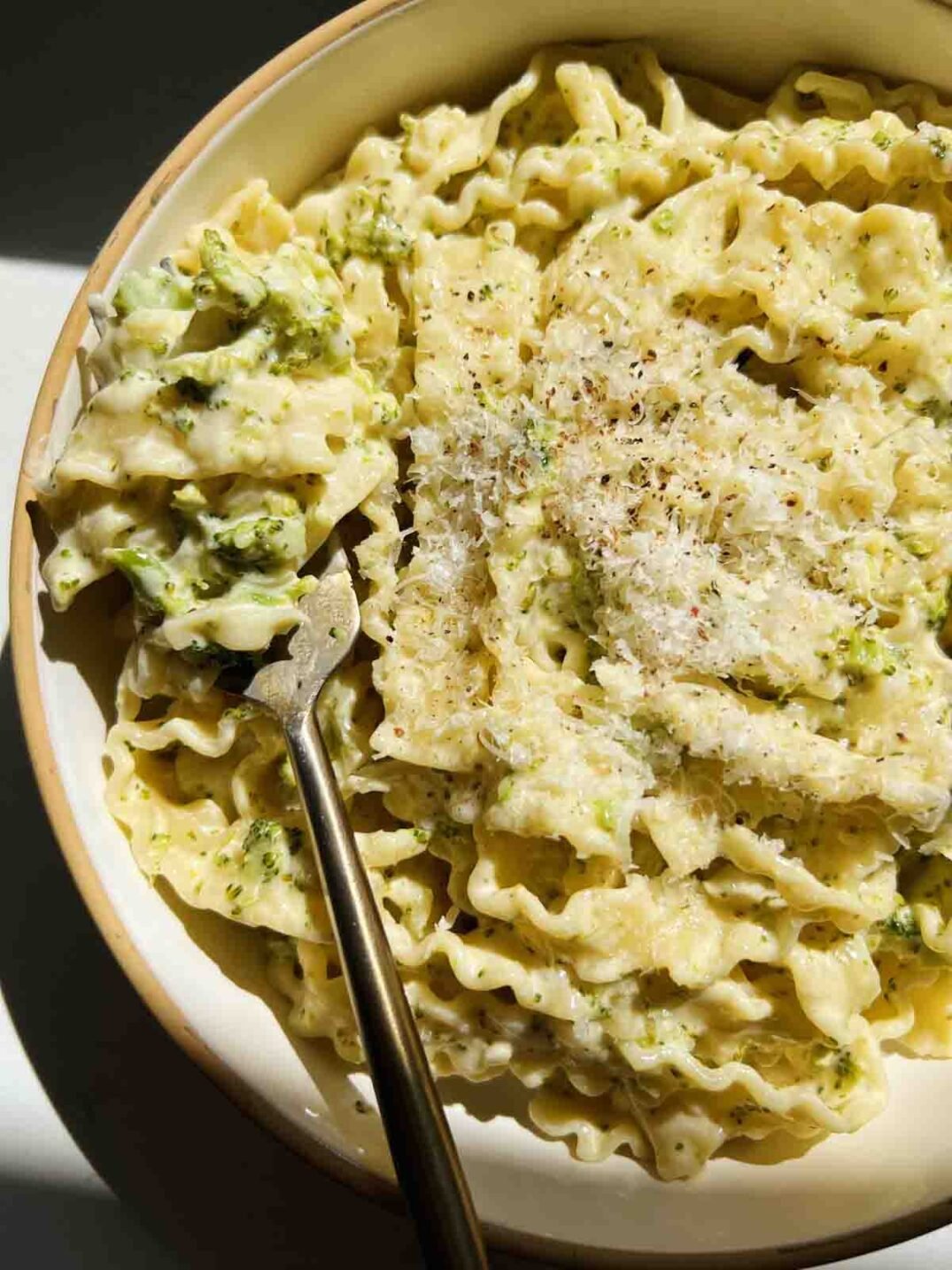 a side shot of creamy reginette pasta with broccoli.