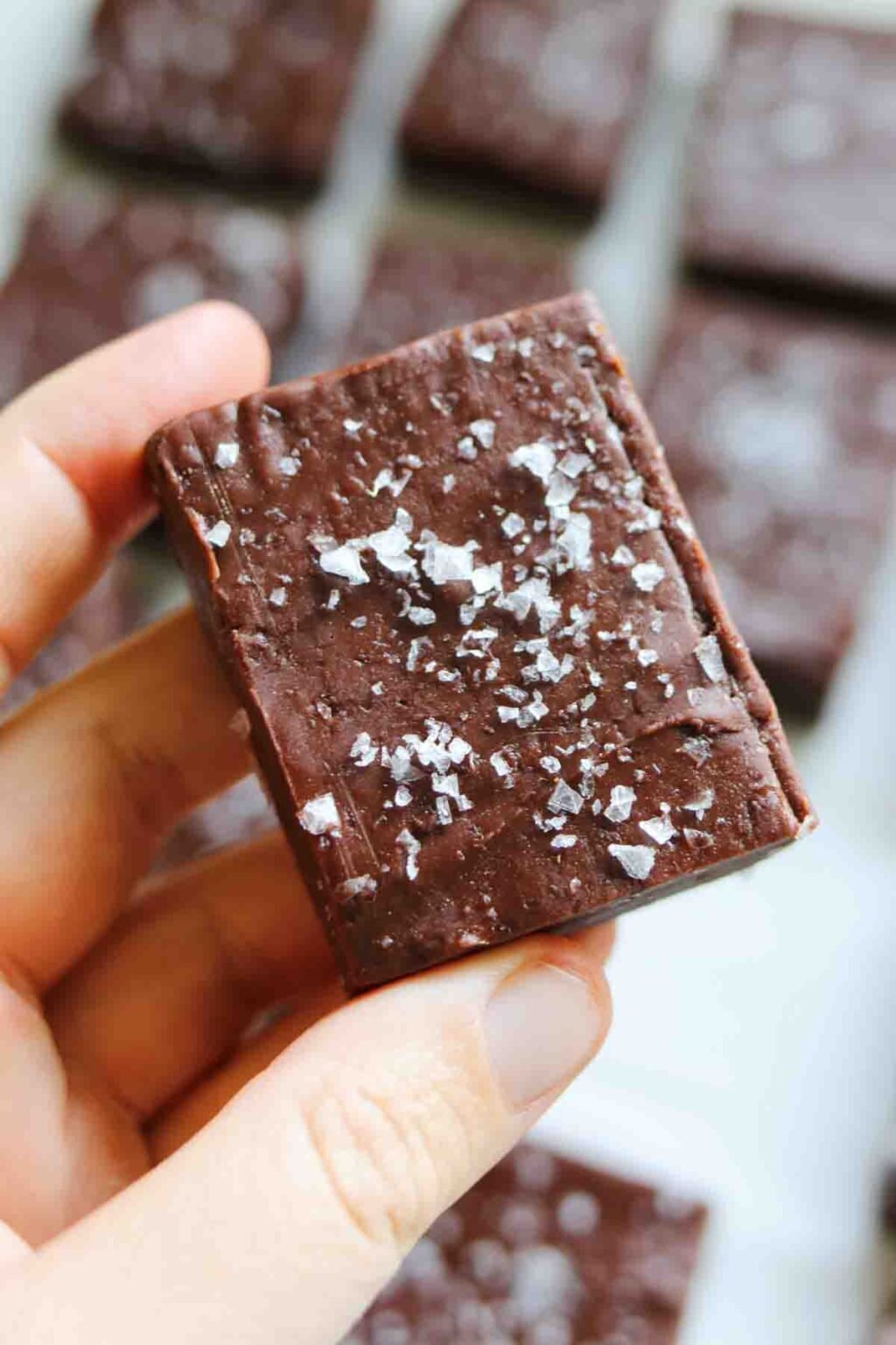 The Easiest 4 Ingredient Nutella Fudge Grilled Cheese Social