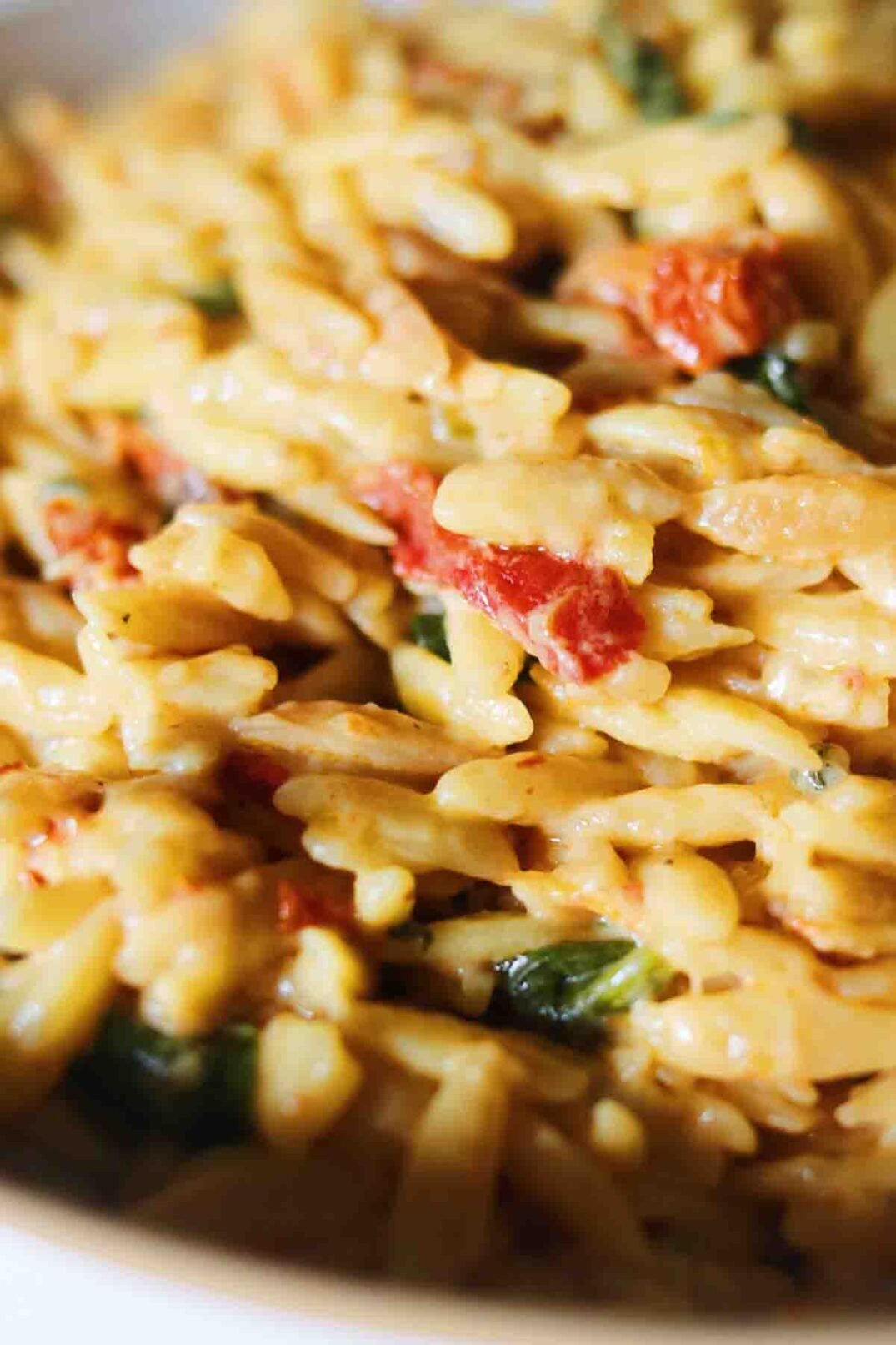 up close view of creamy orzo pasta with little bits of sun dried tomatoes and spinach.