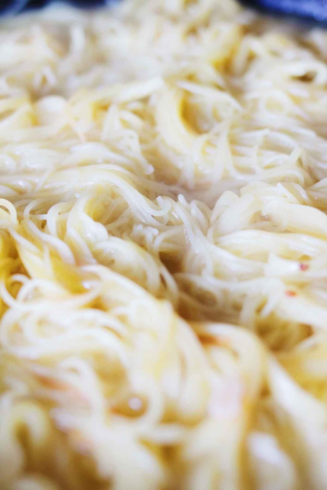 angel hair pasta noodles swirled around each other.