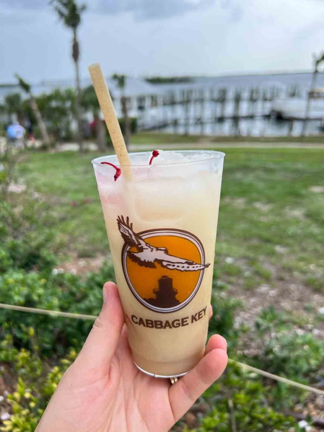 a hand holding a cup of a cocktail called cabbage key creeper.