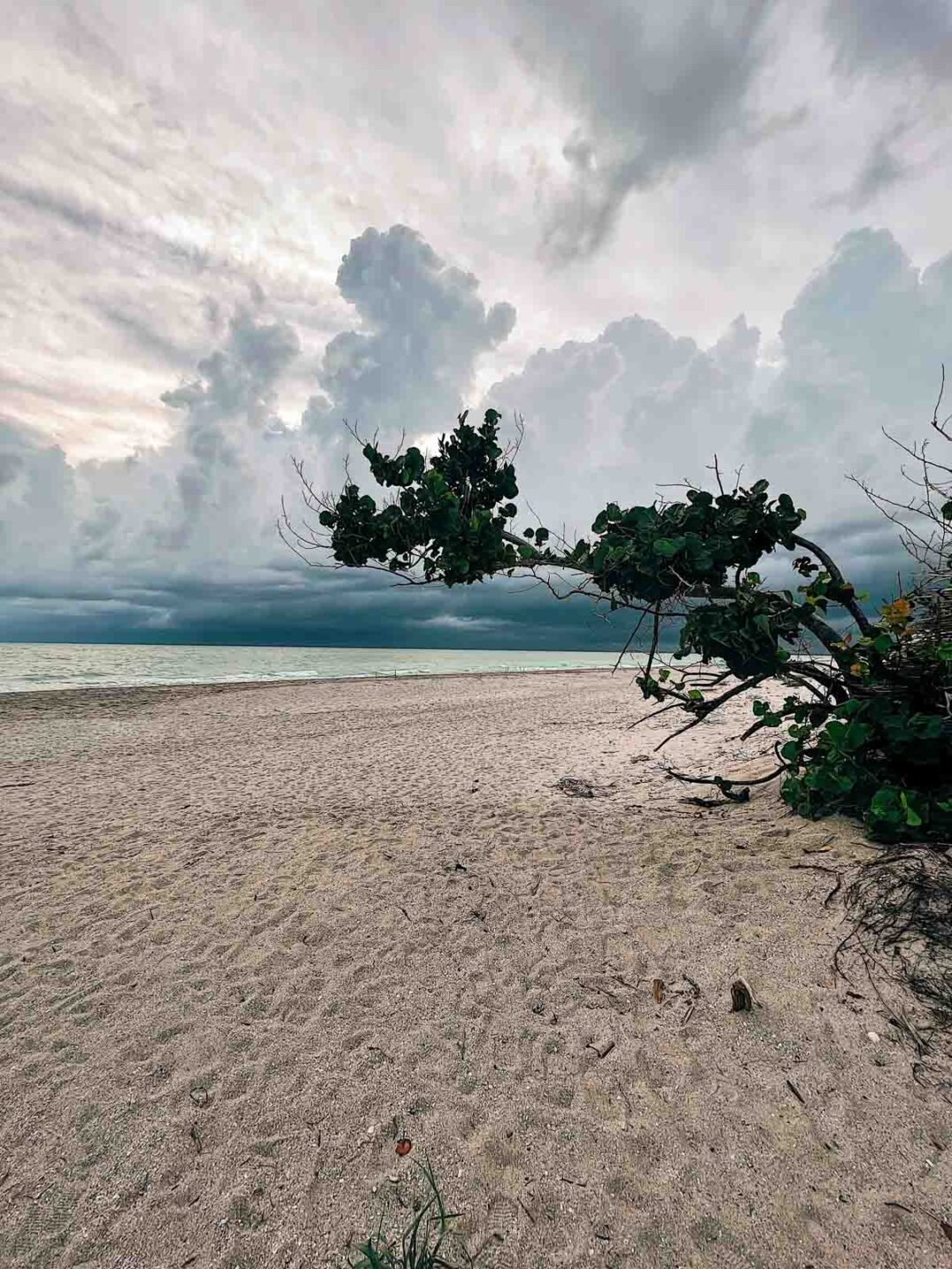 sanibel captiva island after hurricane ian.