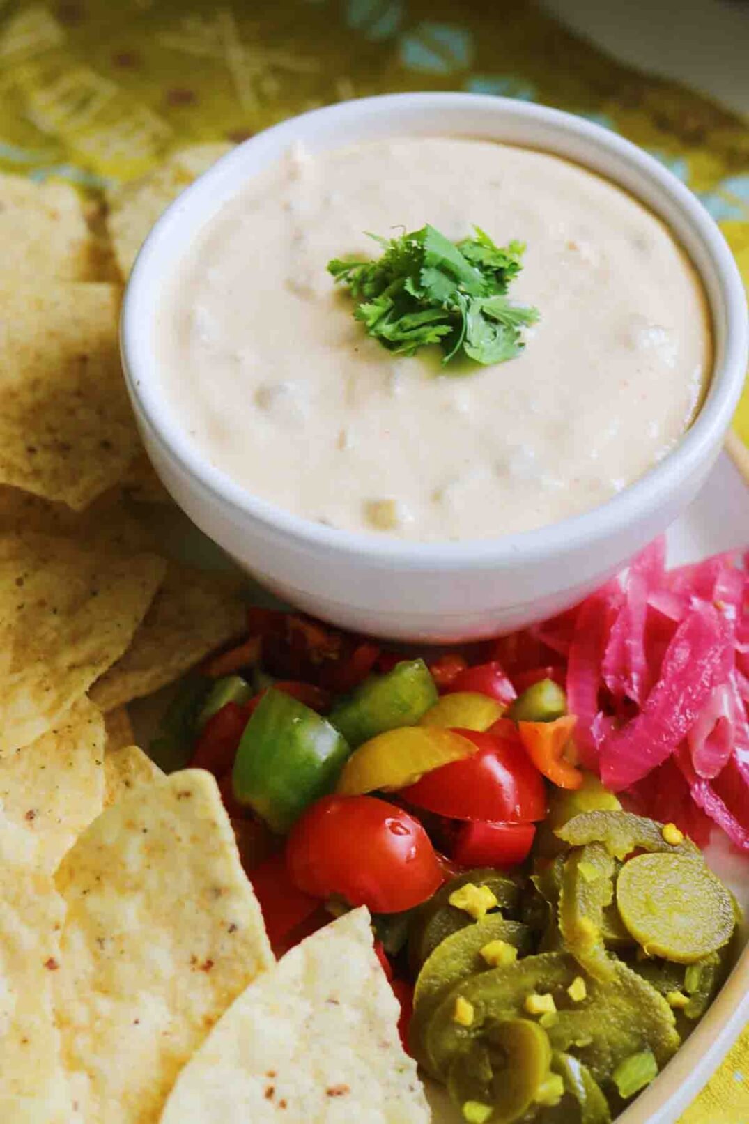 white cottage cheese queso surrounded by chips and colorful salsa.