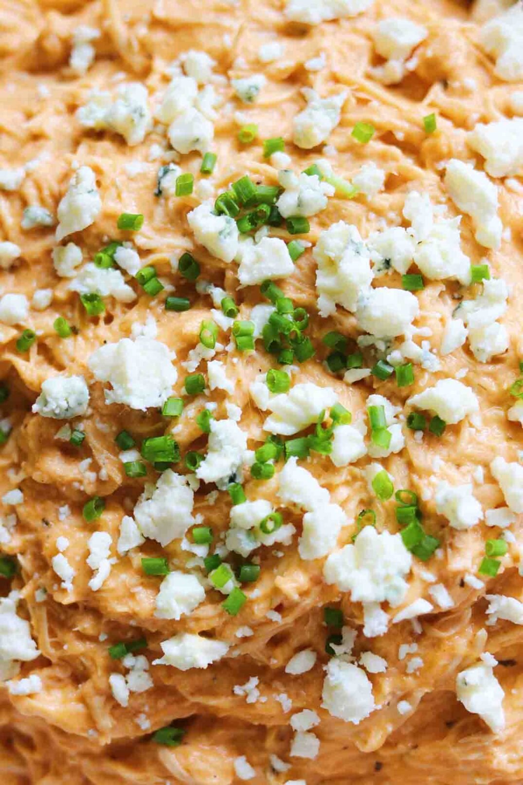 a close up of buffalo chicken dip with blue cheese on top. 