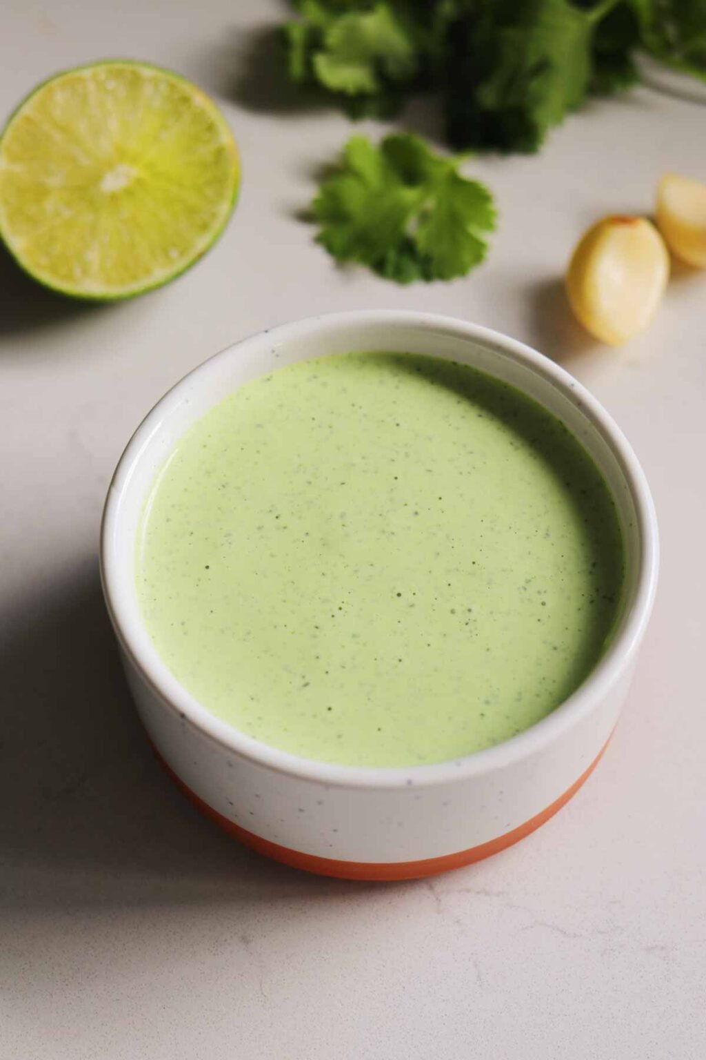 Garlic Cilantro Sauce (Pollo Tropical Inspired) Grilled Cheese Social