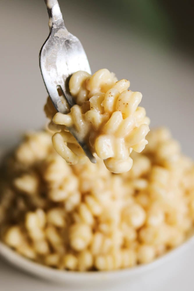 a fork holding some gouda mac and cheese.