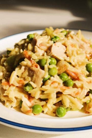 an up close view of a plate of chicken pot pie orzo.