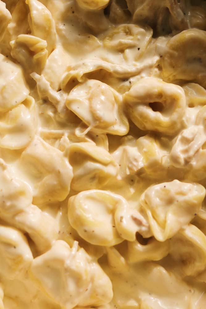 An up close view of chicken tortellini alfredo in a pot. 