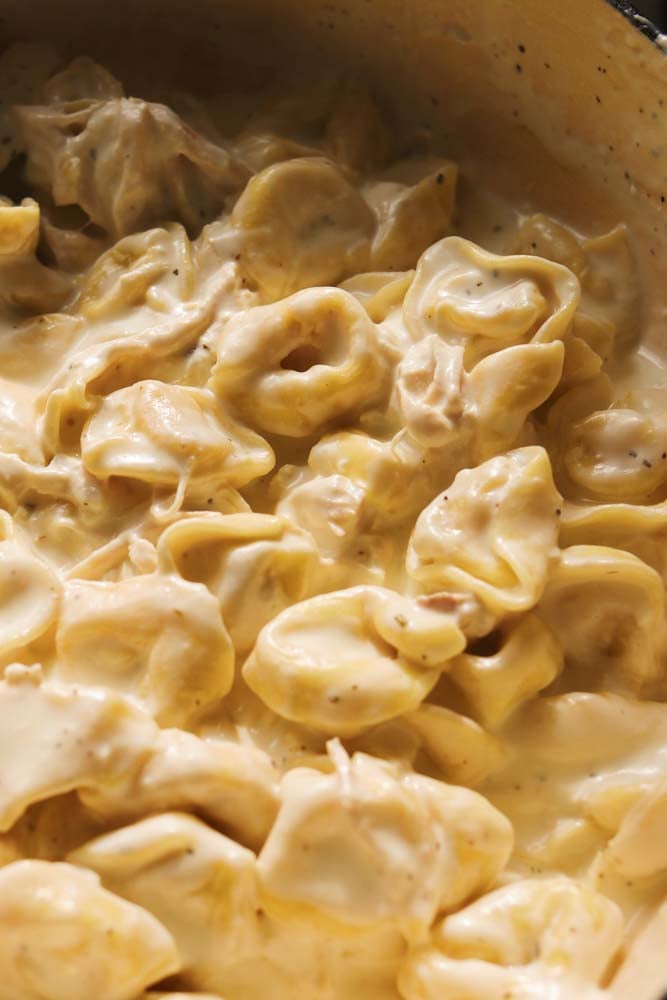 creamy tortellini in a white sauce with chunks of chicken. 