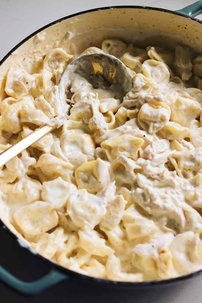 a blue braiser filled with chicken tortellini alfredo and a golden spoon. 