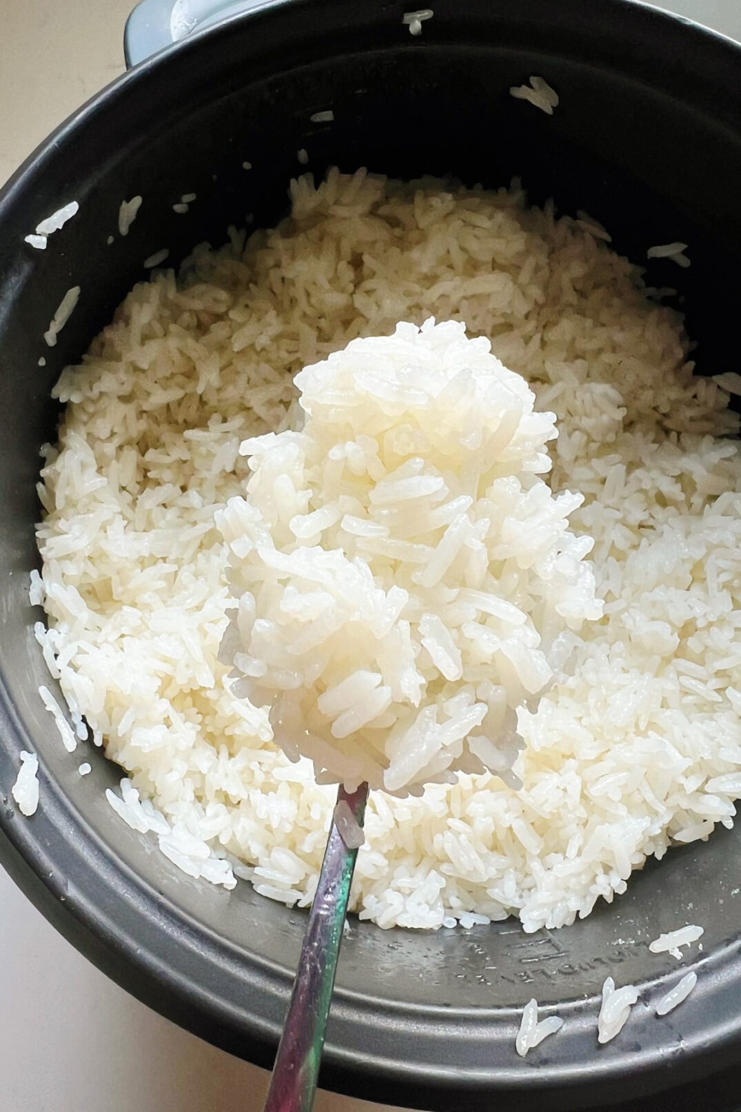 a spoonful of fluffy coconut rice being held over a rice cooker. 