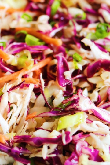 an up close look at the colorful and textural tangy coleslaw for pulled pork.
