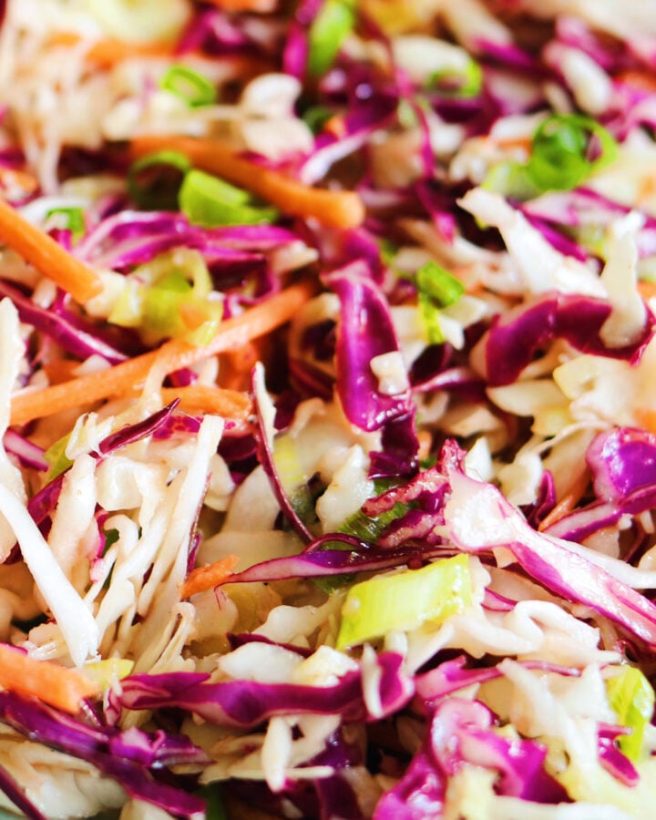 an up close look at the colorful and textural tangy coleslaw for pulled pork.