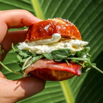 a hand holding a prosciutto and burrata sandwich with fig jam and arugula over a green palm.