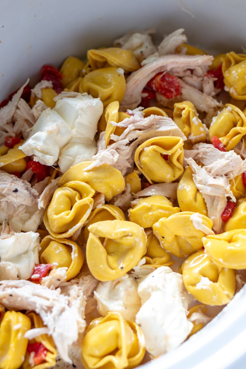 all ingredients in a crockpot before it gets cooked.