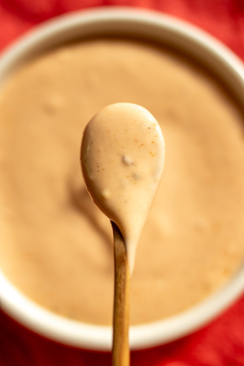 an overhead view of a spoon holding a scoop of canes sauce.