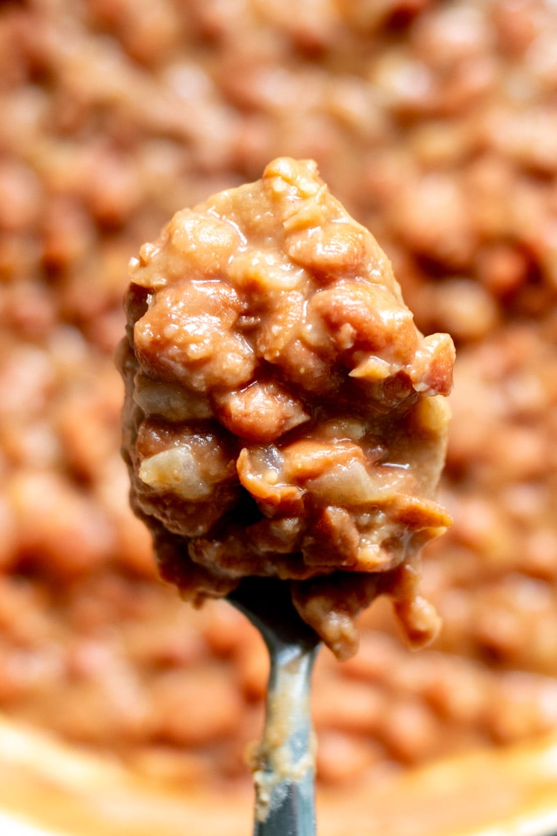 an overhead view of a spoonful of brown beans. 