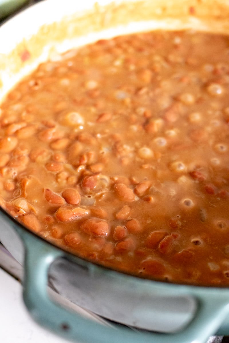 brown beans simmering broth.