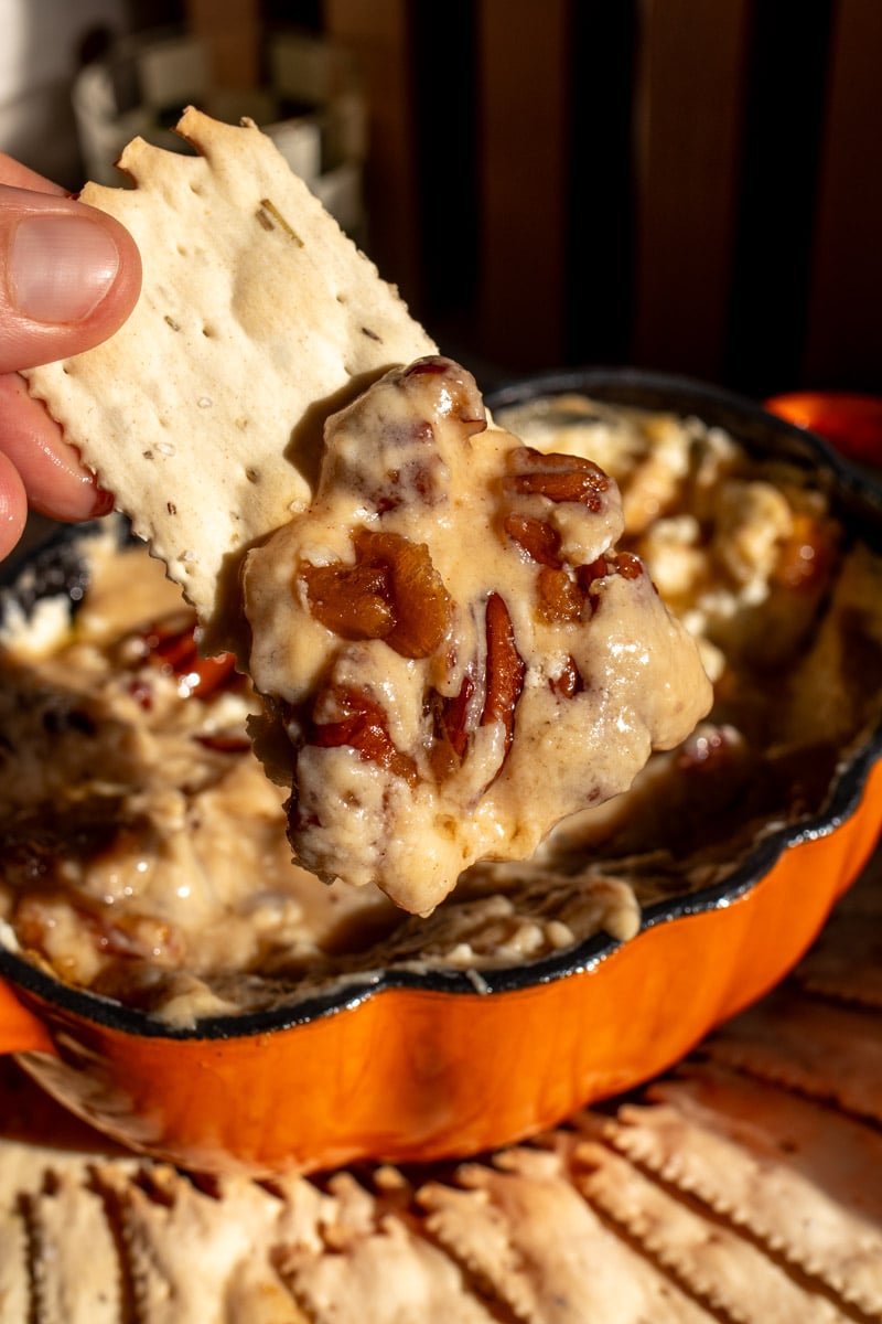 a cracker cooping out some pecan pie goat cheese dip.