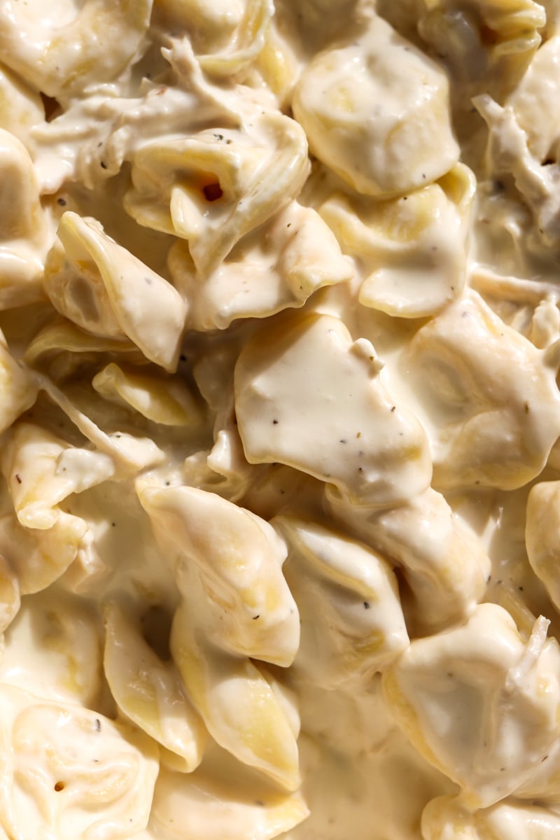 small pieces of chicken and fresh cheese tortellin in a creamy alfredo sauce.