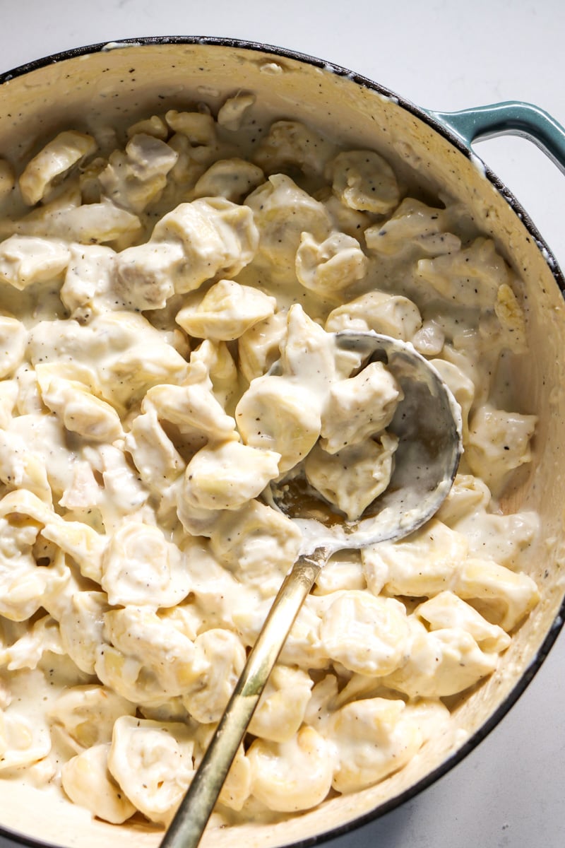 a blue pot filled with beige and white chicken tortellini alfredo with a golden serving spoon.