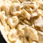 an up close look at the texture of this chicken tortellini alfredo bake.