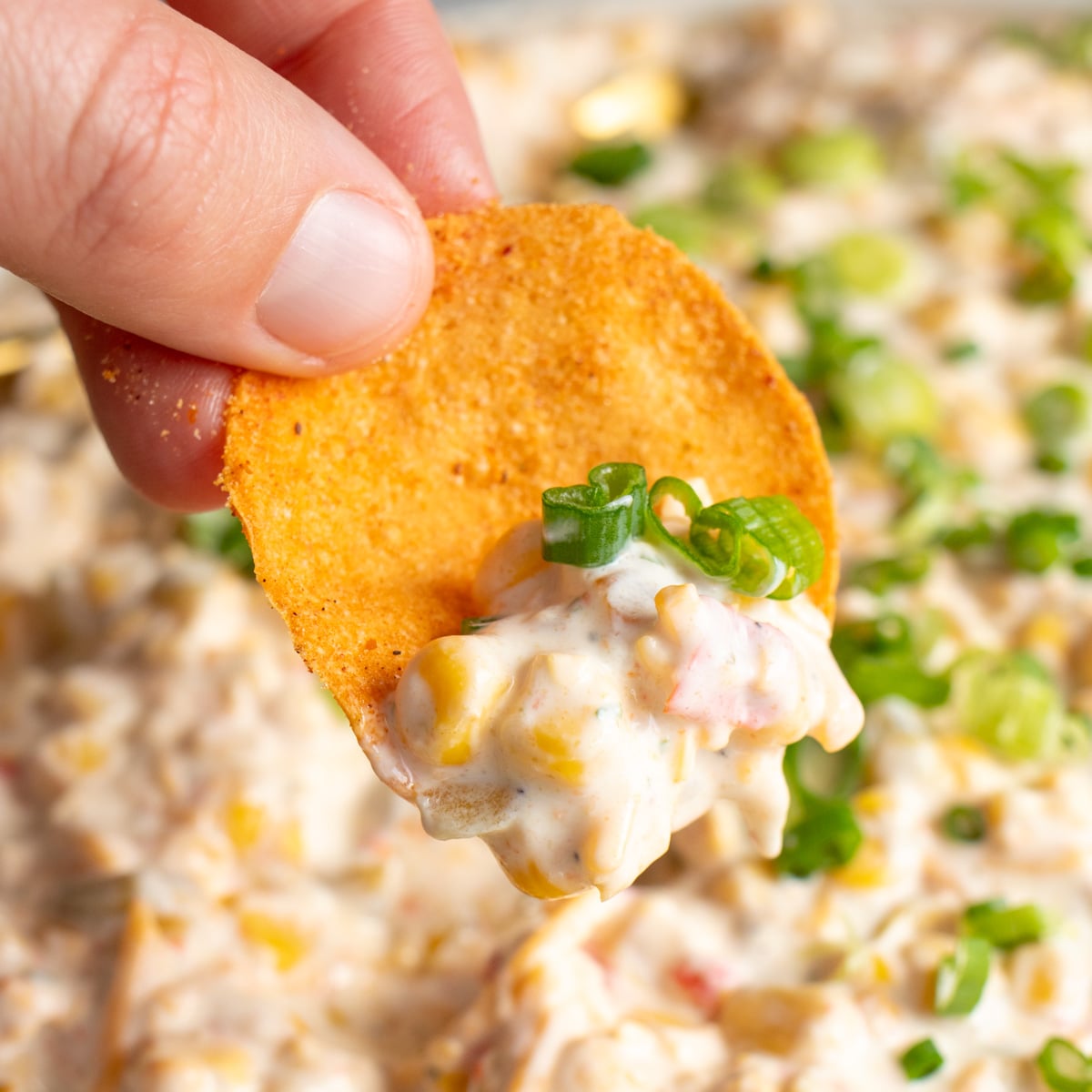 Easy Cool Ranch Corn Dip Recipe (aka Crack Corn Dip)