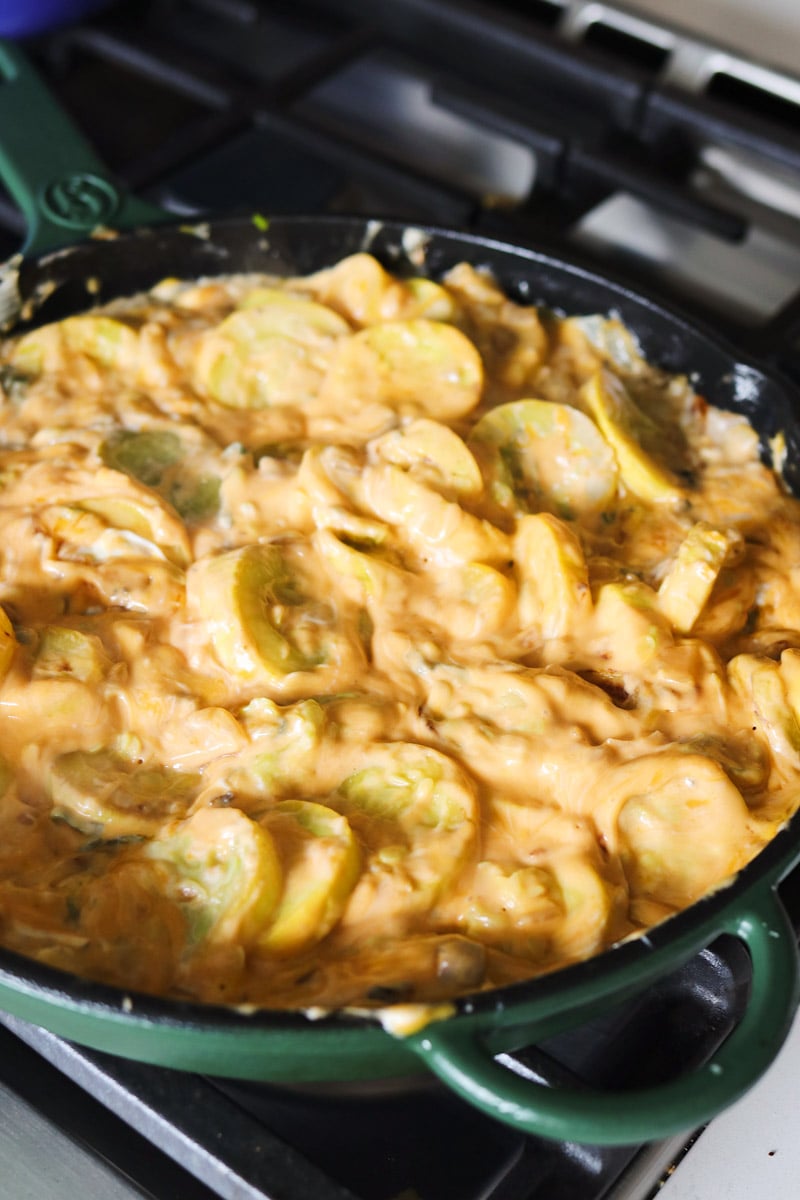 creamy, cheesy squash casserole before being baked. 
