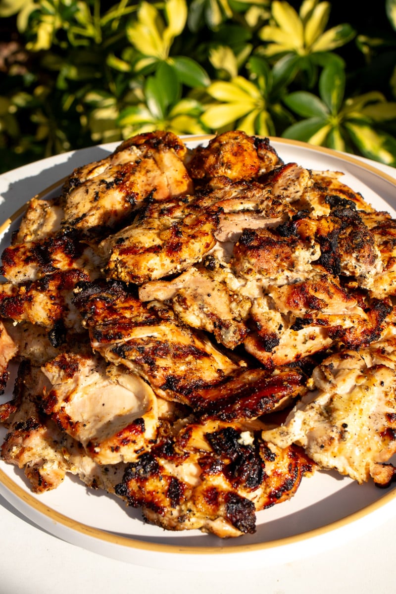 a white plate full of grilled chicken that was marinated with greek yogurt, spices, and lemon with an outdoorsy tropical background.