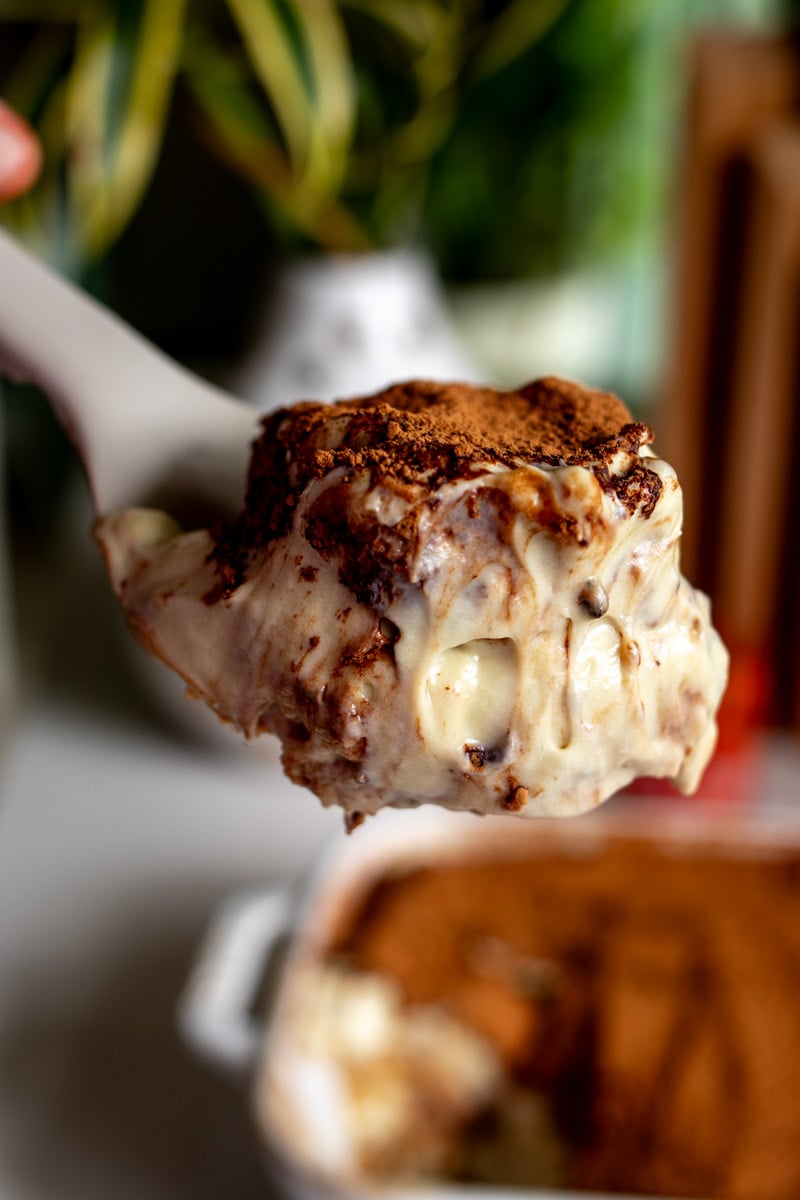 a spoon holding a scoop of pistachio tiramisu in front of a plant.