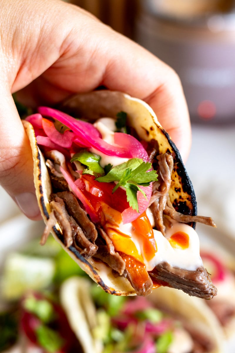 a hand holding a dripping mexican shredded beef taco.