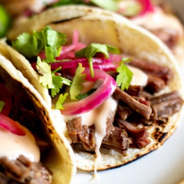 a shredded beef taco on a plate with queso dip, pickled red onion and cilantro.