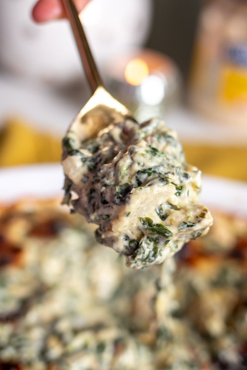 a spoon holding a scoop of cheesy spinach artichoke dip!