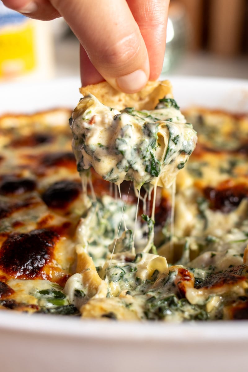 a chip being dipped in ultra cheesy spinach artichoke dip with a cheese pull coming out of it.