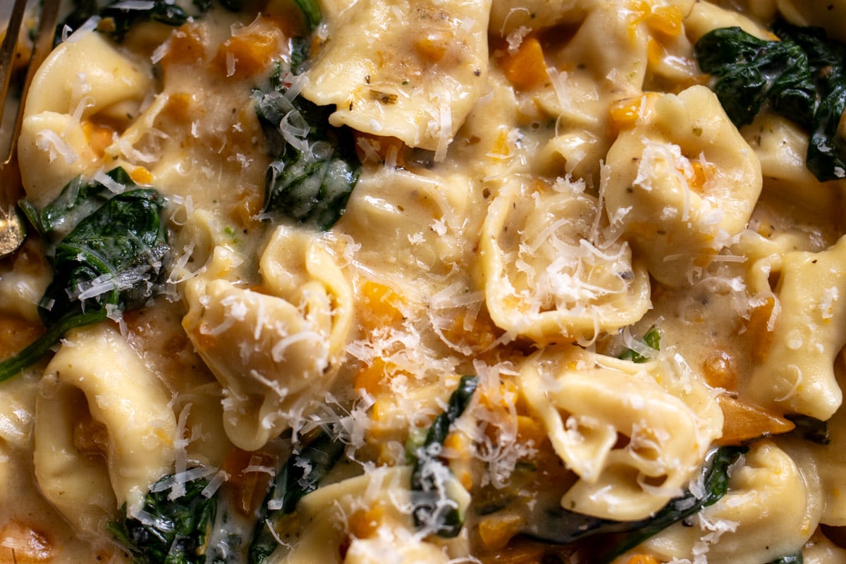 an up close look at a bowl of creamy brown butter tortellini.