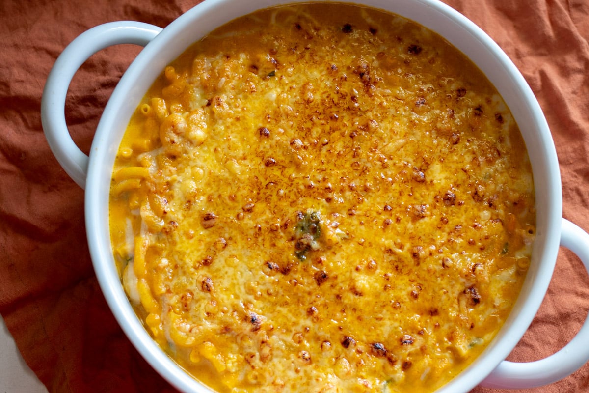 a white baking dish full of pumpkin mac and cheese with a golden brown cheesy crust on top.