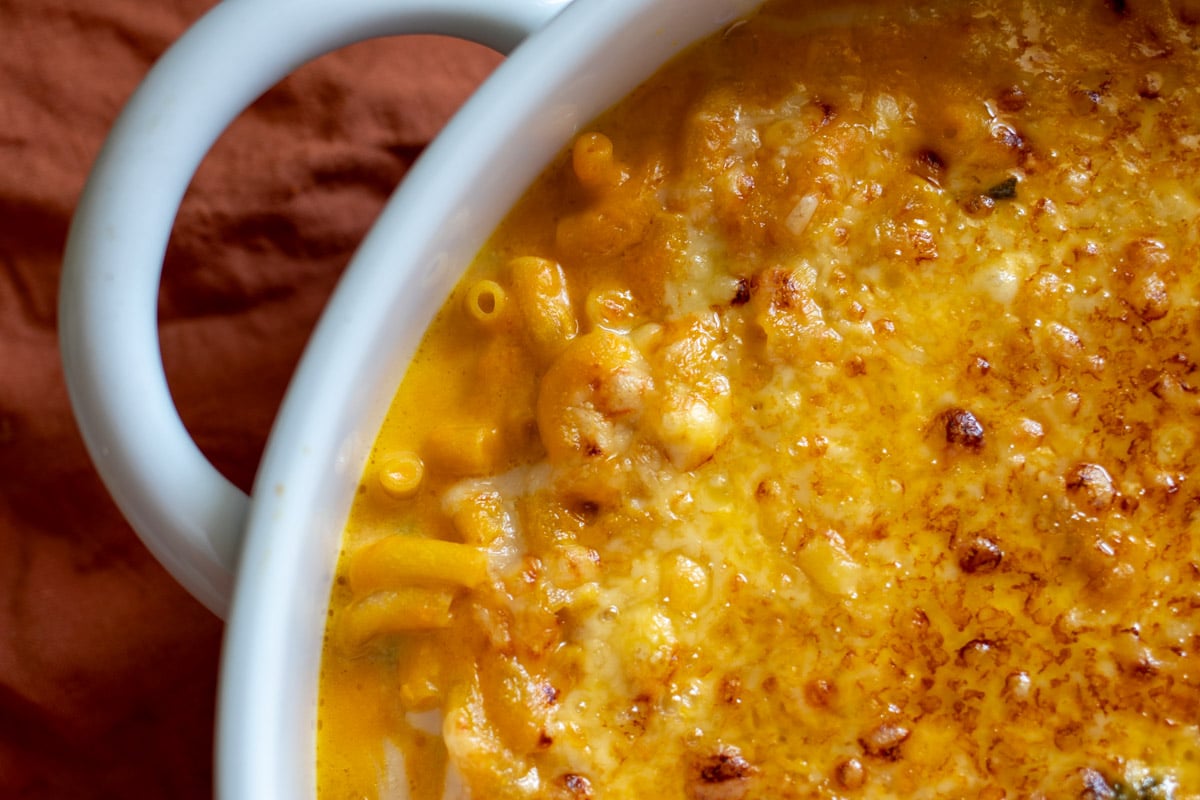 an up close look at the texture of this pumpkin mac and cheese after broiling. 