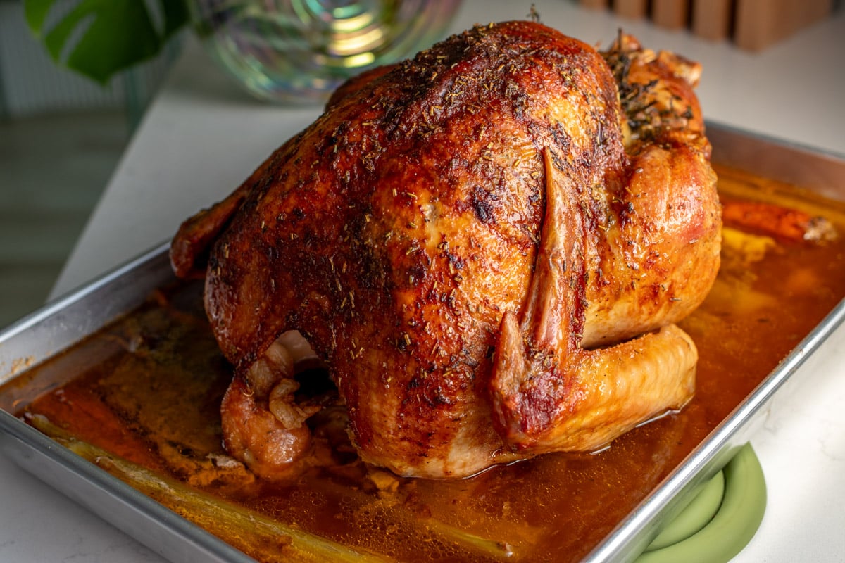 a beautiful golden brown roasted turkey using this turkey seasoning recipe. 
