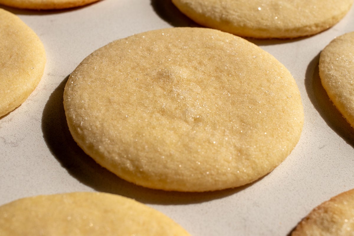 a close up of the texture of this sugar cookie dough.
