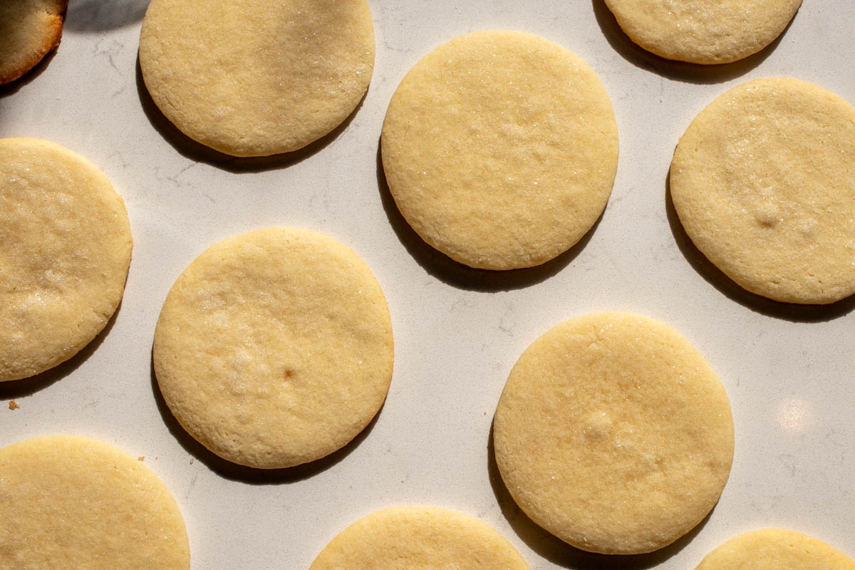Easy Sugar Cookie Dough Recipe for Decorating - Grilled Cheese Social