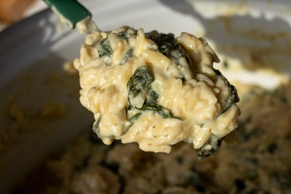 a spoon holding a large scoop of creamy chicken orzo.